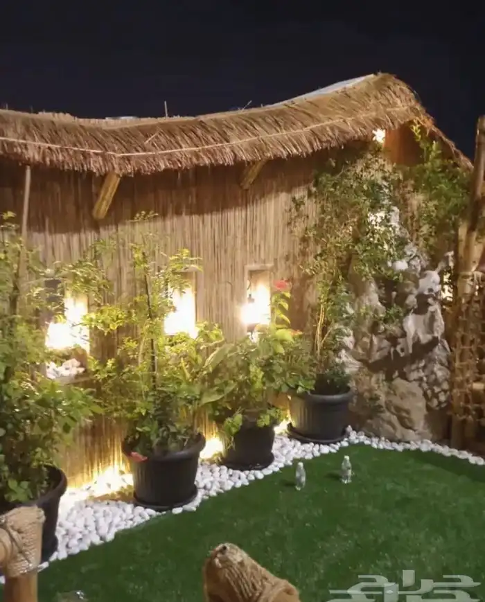 خيزران بامبو 9