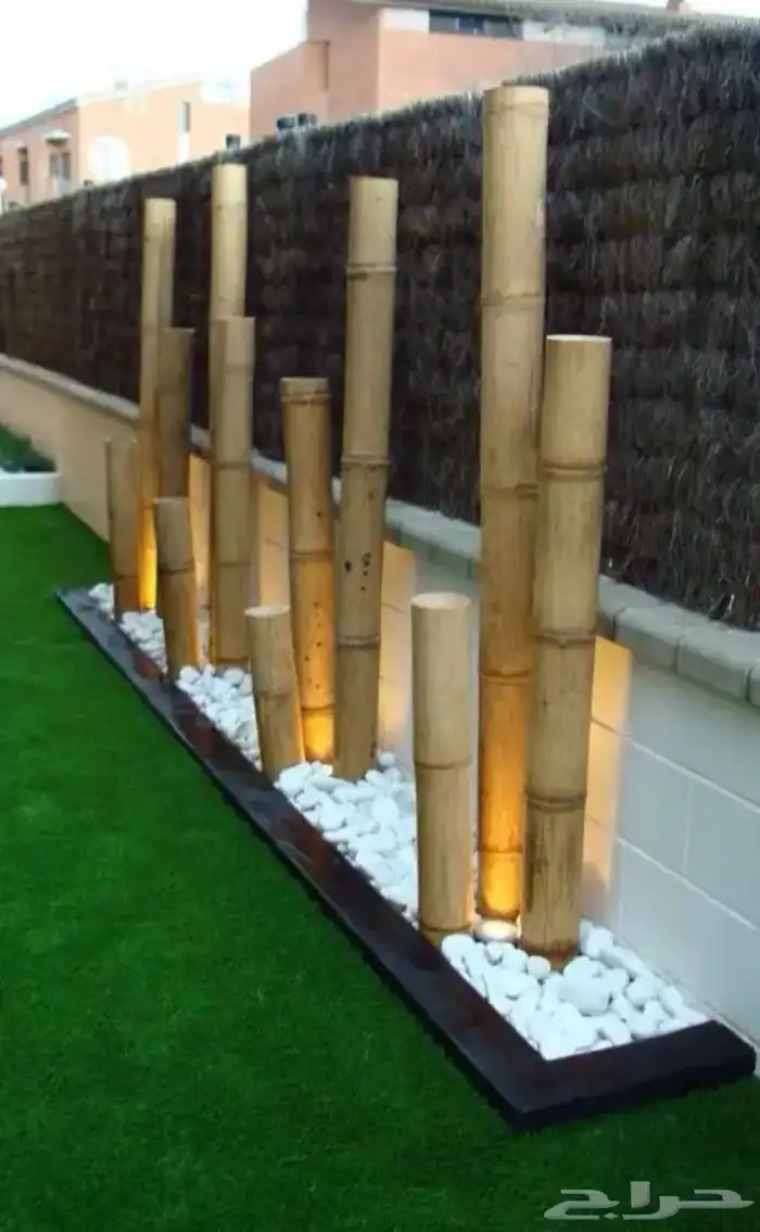 خيزران بامبو 10