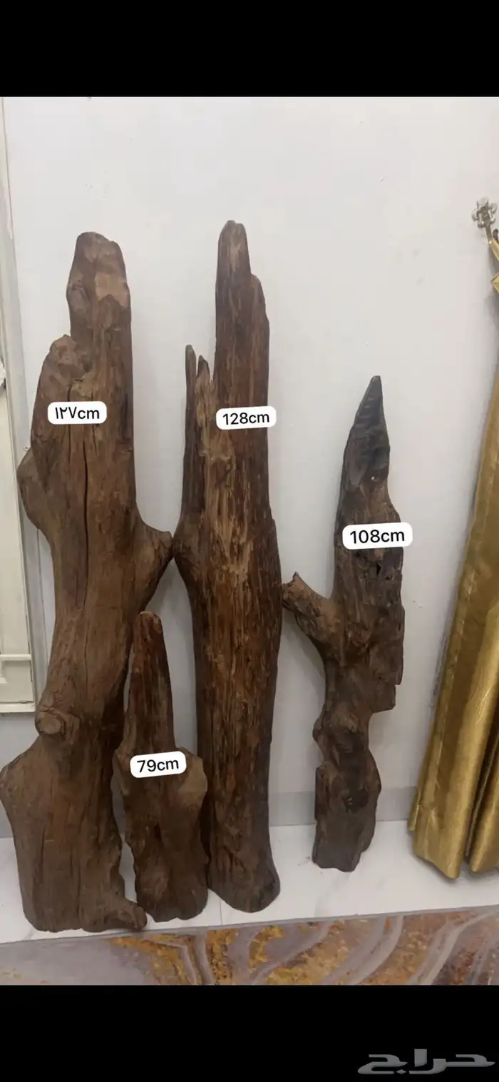 ديكور عود كلمنتان طبيعي 0