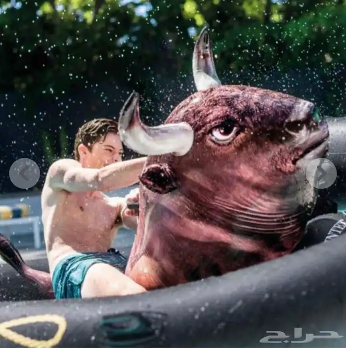 عوامة بحر على شكل ثور من شركة انتكس 1