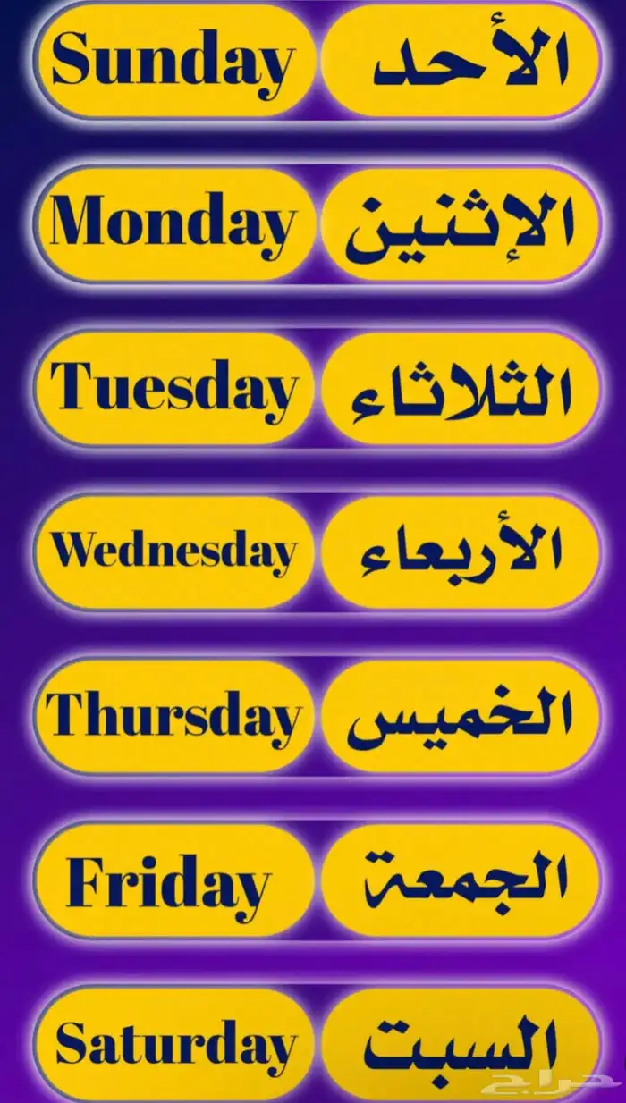 معلمة اللغة الانجليزية 4