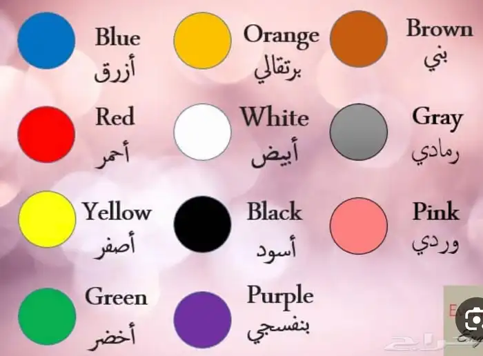 معلمة اللغة الانجليزية 5