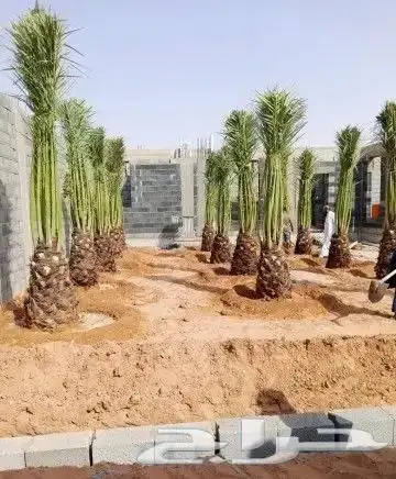مقاول شبوك وجميع اعمال الحداده 0