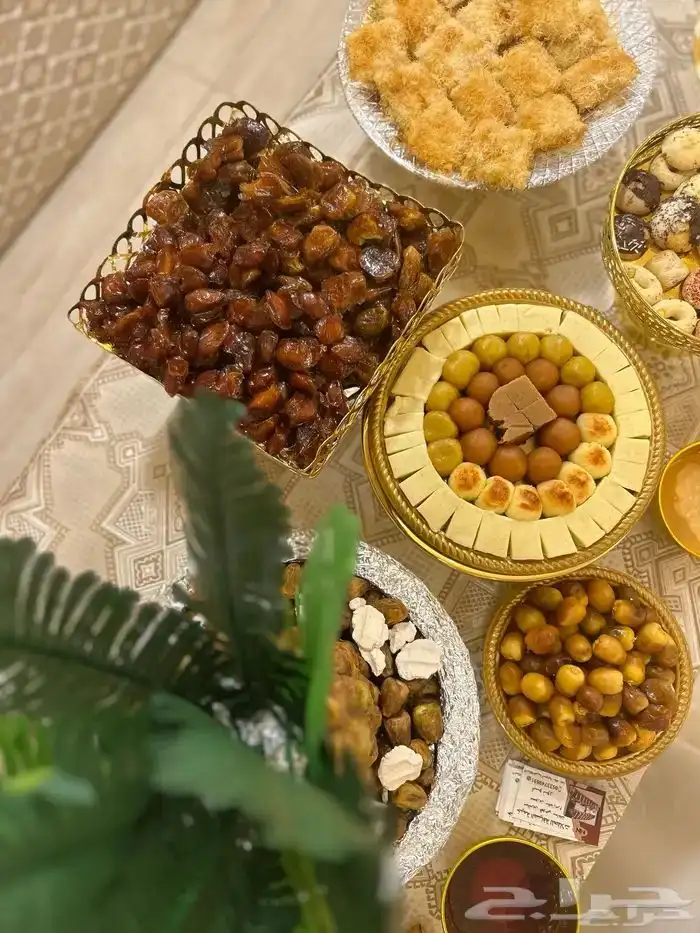 خيمه ابو خالد للضيافه وللمباشرين 4