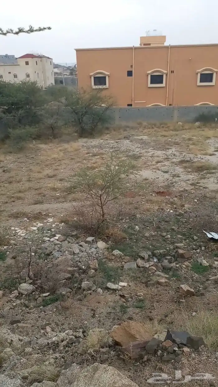 أرض سكنية في عفراء بلقرن 1