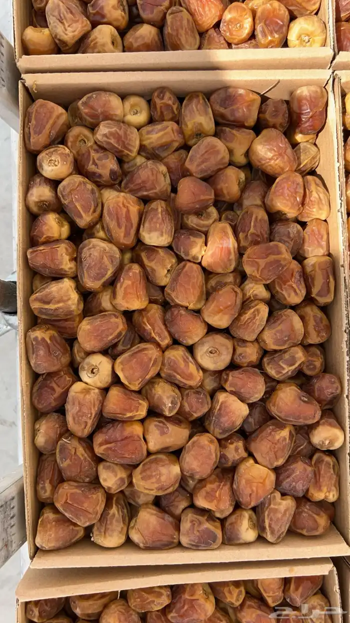 عرض على التمر المفتل و الجالكسي 1