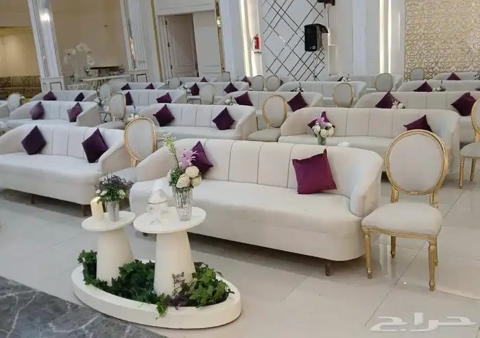 كوش توليب 24