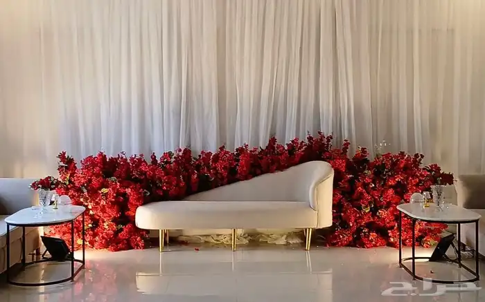 كوش توليب 3