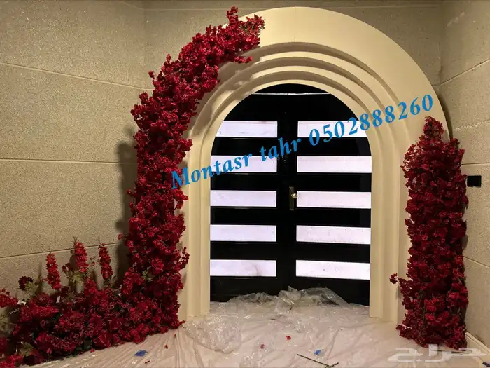 كوش توليب 17