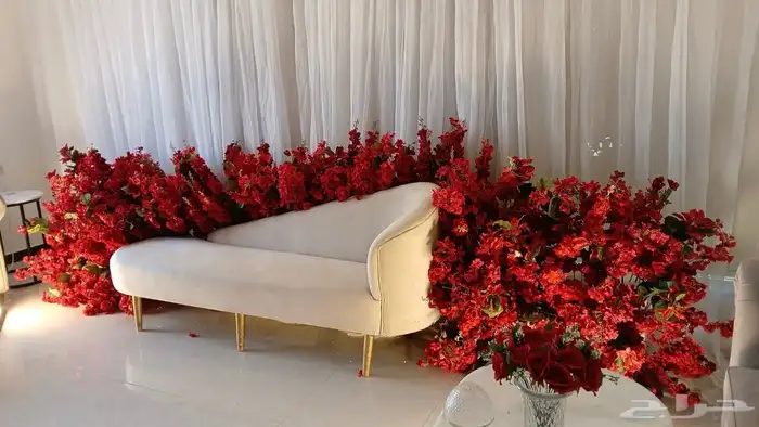 كوش توليب 4