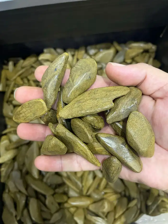 مروكي طبيعي محسن 1