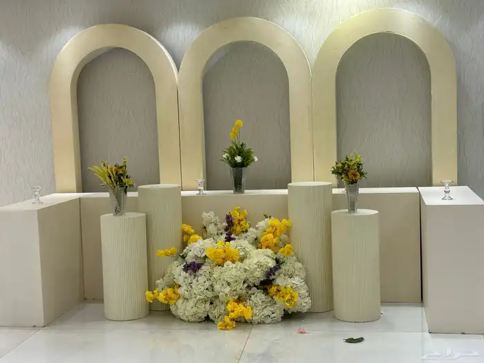 كوش توليب 42