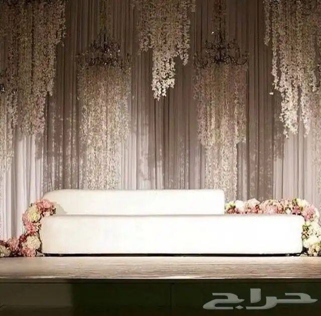 كوش توليب 56