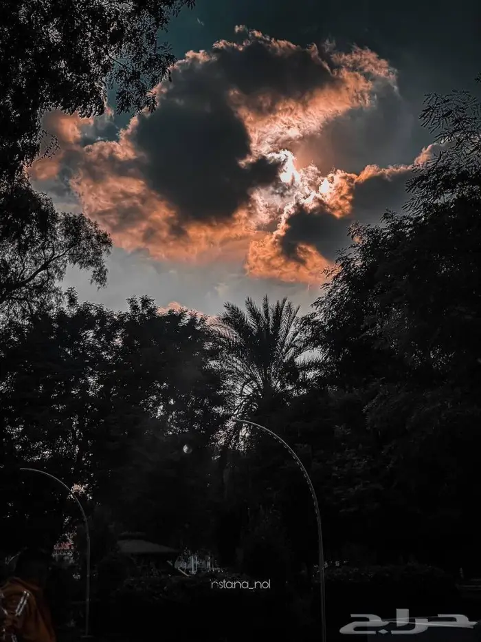 مدفوع مبلغ للسعي 0