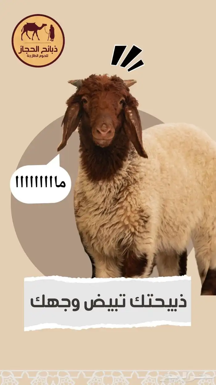 ذبايح مع خدمة الذبح و التوصيل والتغليف 27