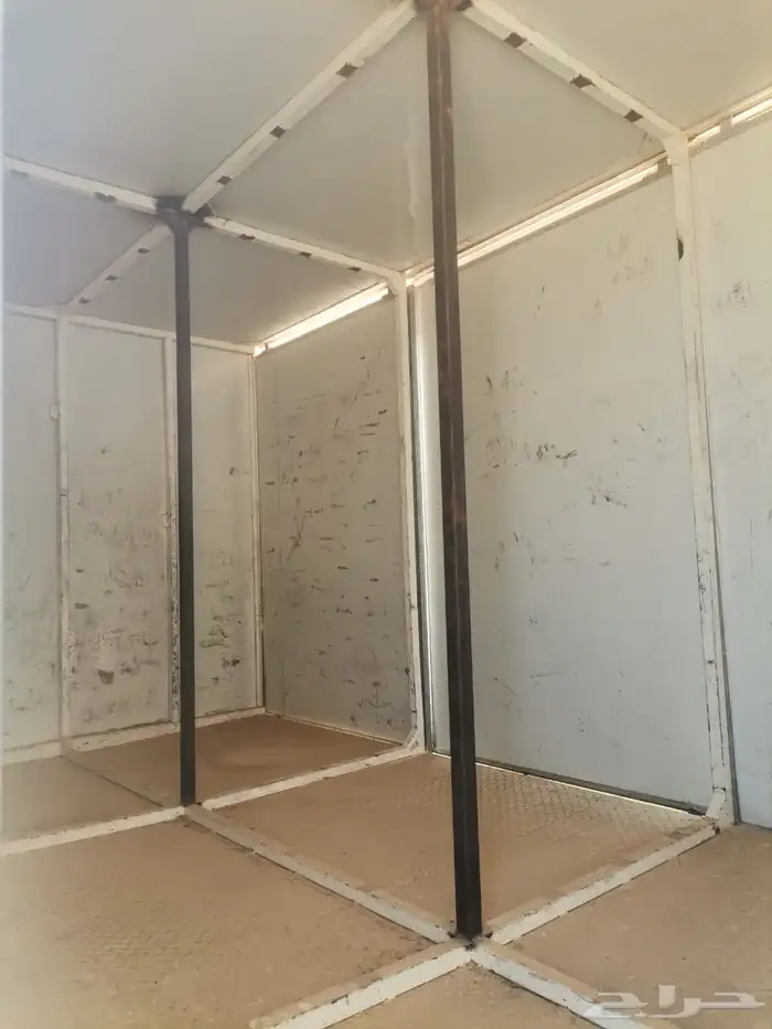 دينا ايسوزو 12