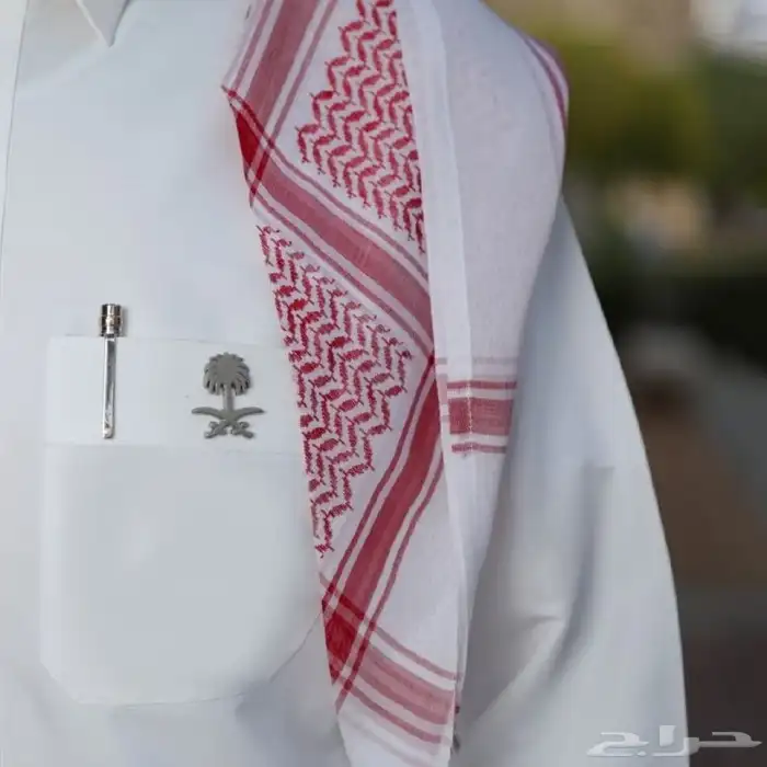 بروشات اليوم الوطني 6