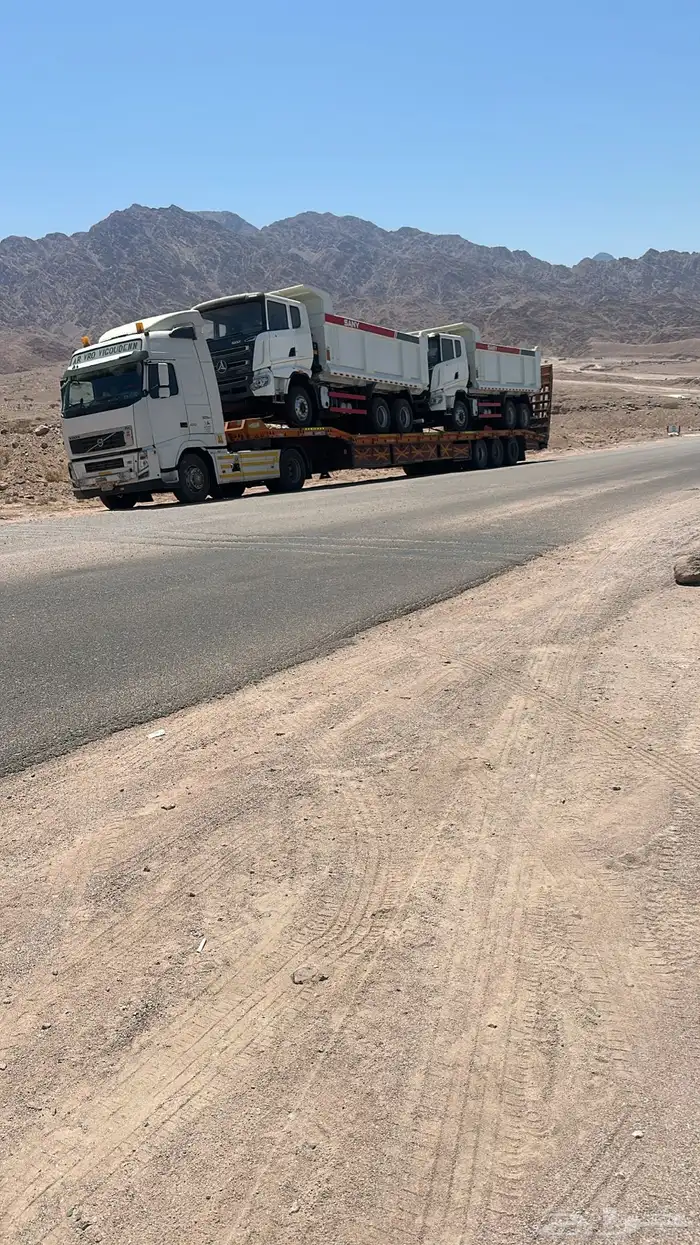 لوبد في الدمام 0