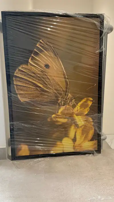 لوحات جداريه باسعار مغريه 2
