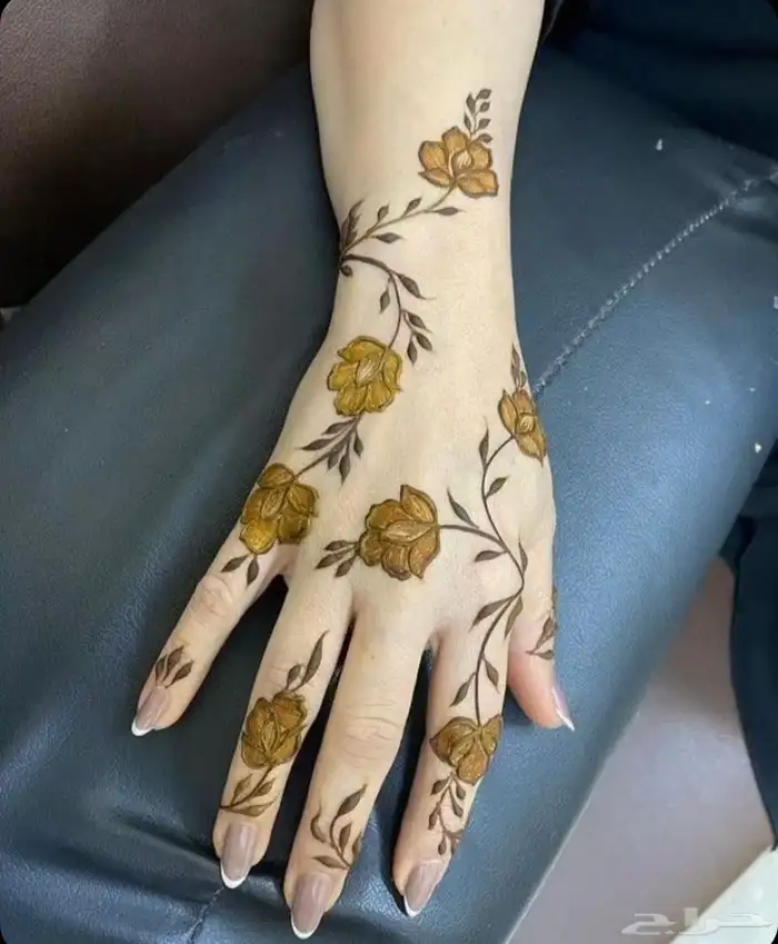 حنا وصبغه 0