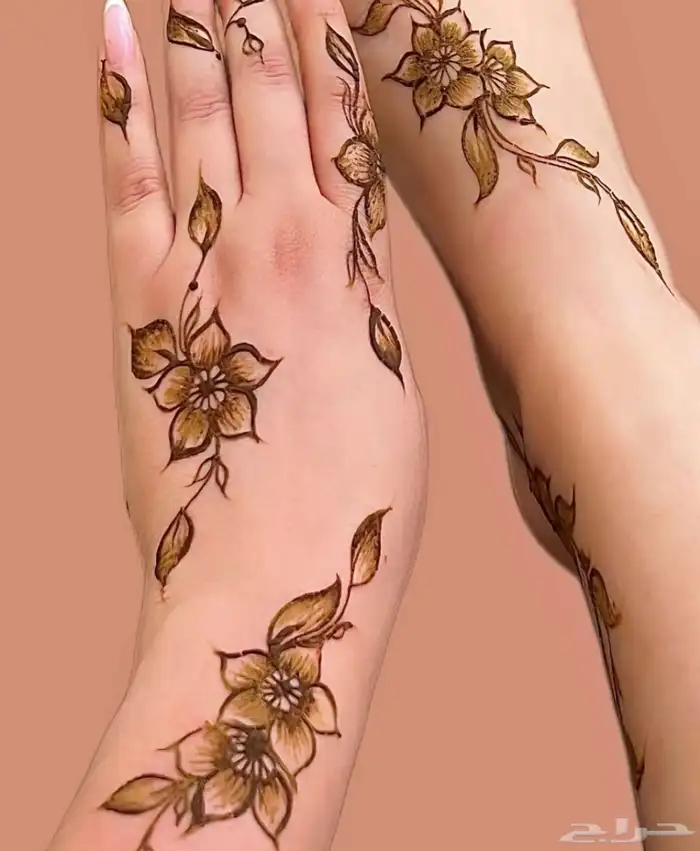 حنا وصبغه 2