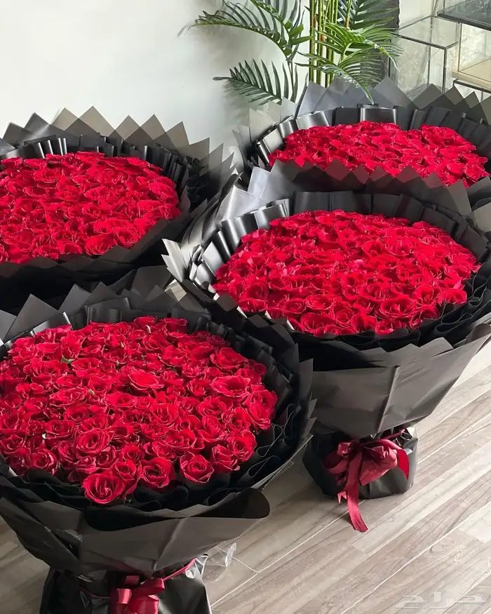منسق حفلات 4