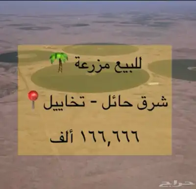 للبيع ارض زراعية شرق حائل الشنان اعلان (45) 2