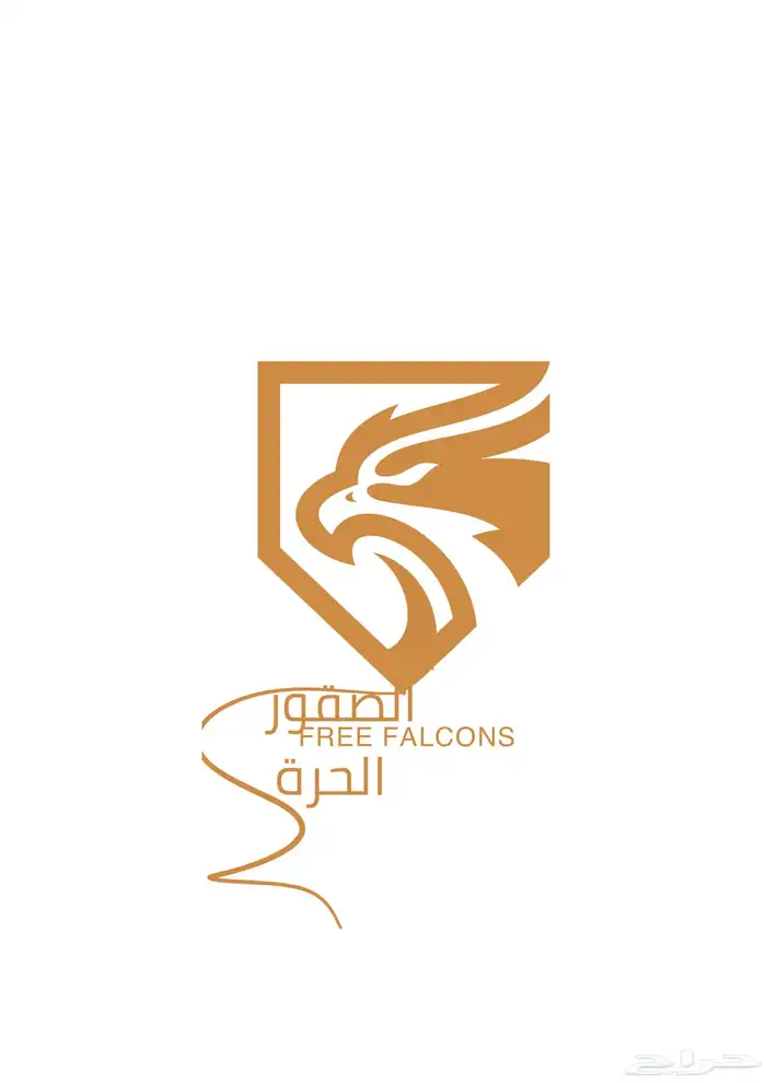 مصممة لوقو وبيزنيس كارد وادارة حسابات وسي في 0