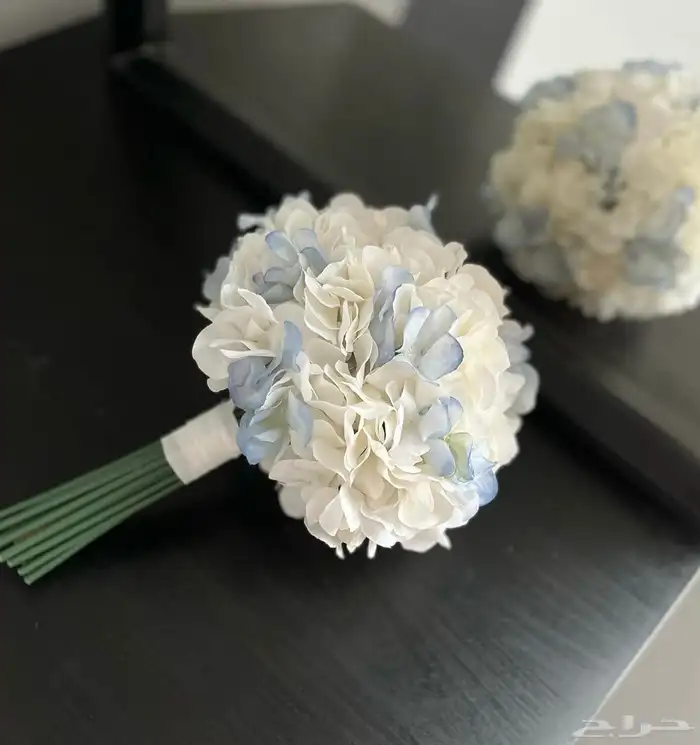 منسق حفلات 11