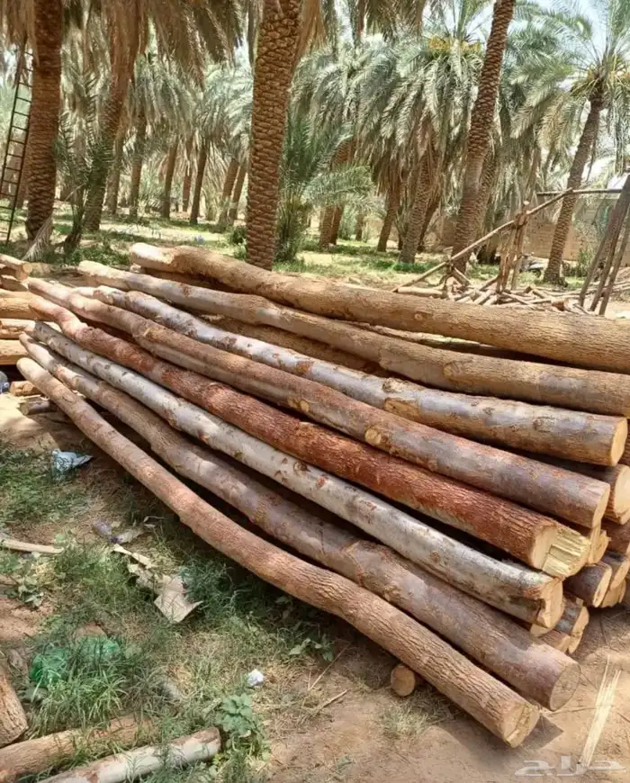 مقاول البيوت التراثية الطين الطبيعي 19