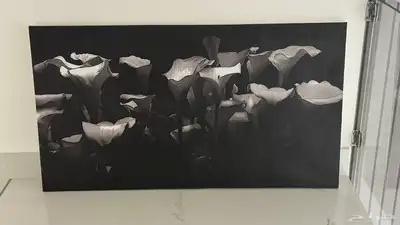 لوحات جداريه باسعار مغريه 0