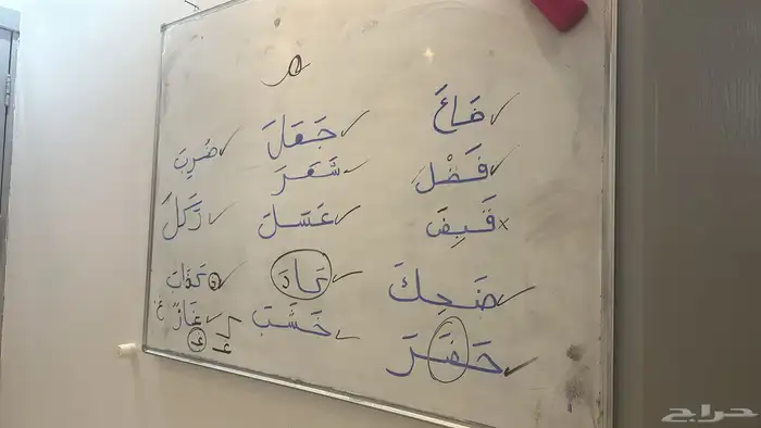 معلمة خصوصية (تاسيس ومتابعه للطلاب ) 2