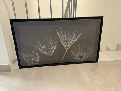 لوحات جداريه باسعار مغريه 1