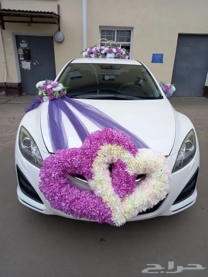 منسق حفلات 16