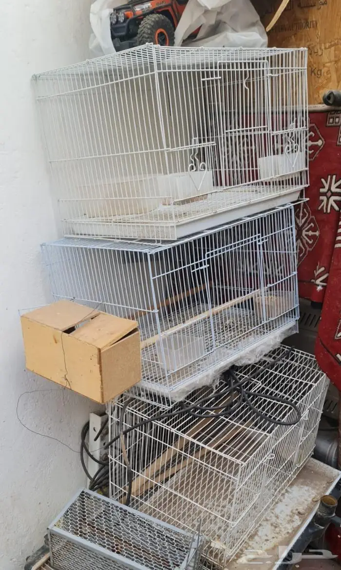 للبيع شمعة يوكن مع طفاية حريق وكالة وغاز مع اقفاص وكراسي 7