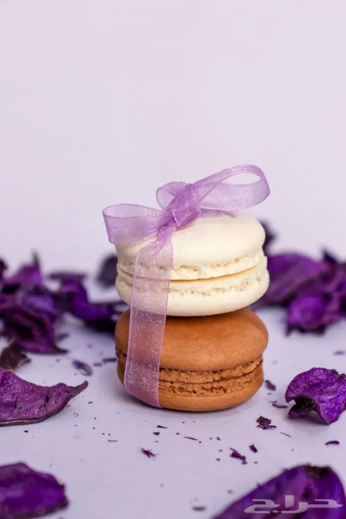 مصورة منتجات وأطعمة 5