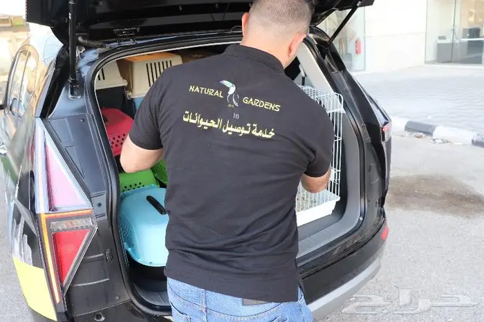 توصيل حيوانات يوميا الشرقيه - الرياض 2
