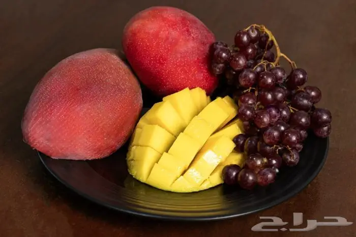 مصورة منتجات وأطعمة 1