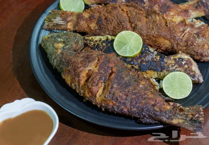 مصورة منتجات وأطعمة 2