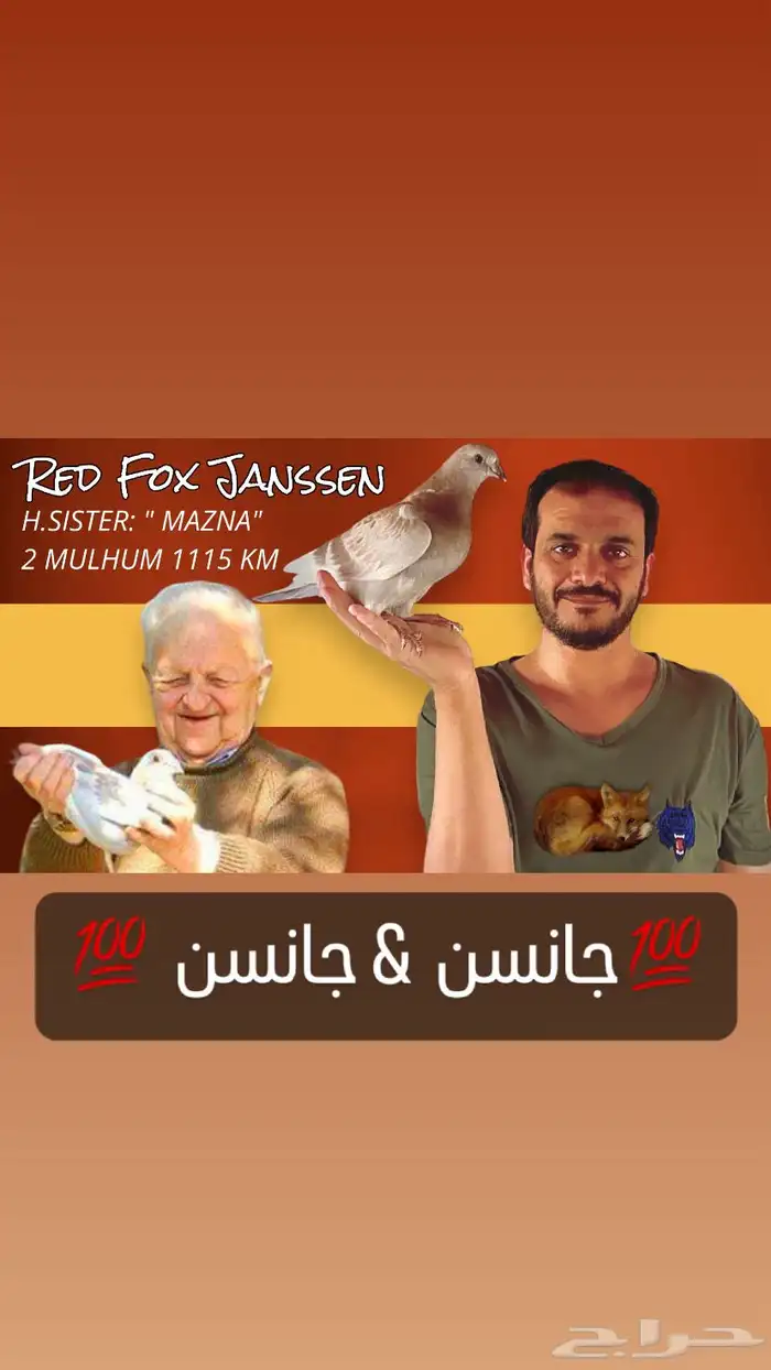 زاجل سباق 5