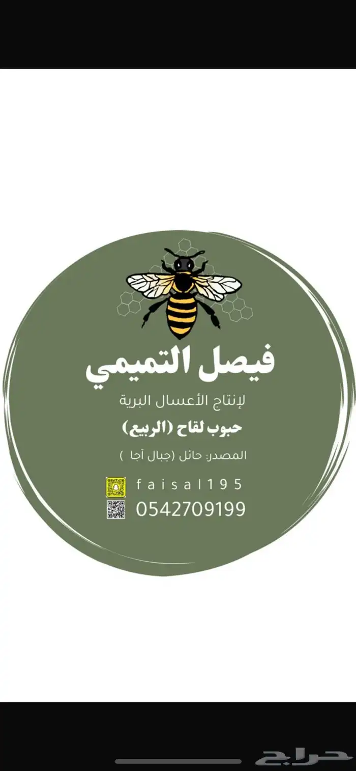 مصممة لوقو وبيزنيس كارد وادارة حسابات وسي في 6