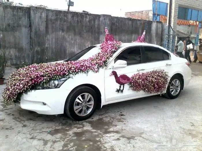 منسق حفلات 15