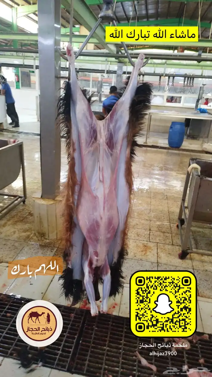 ذبائح مع خدمة الذبح و التوصيل والتغليف 19