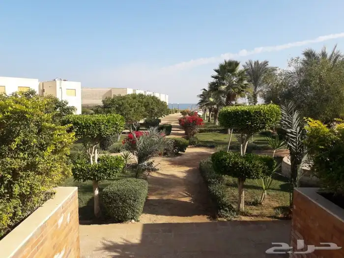 شاليه استراحات في مصر ( ادخال ADKHAL ) 47