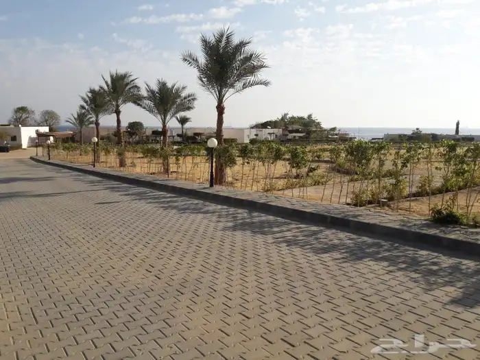 شاليه استراحات في مصر ( ادخال ADKHAL ) 49