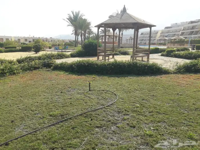 شاليه استراحات في مصر ( ادخال ADKHAL ) 38