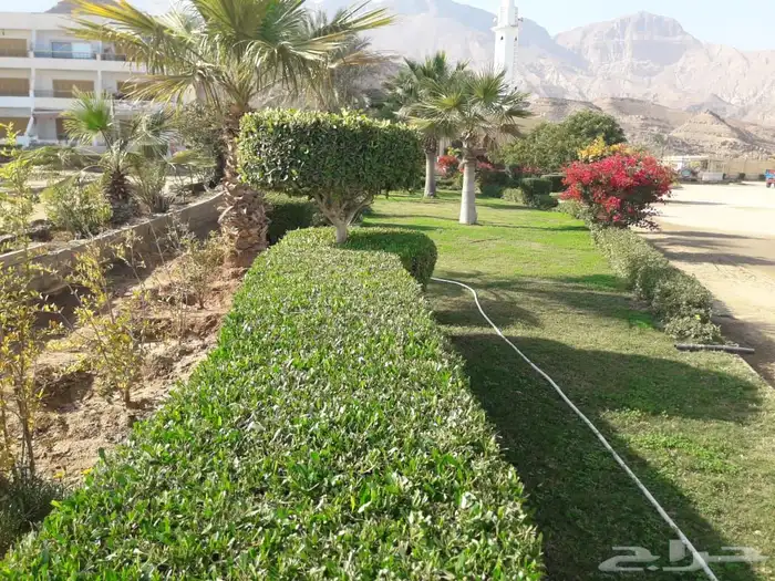 شاليه استراحات في مصر ( ادخال ADKHAL ) 51