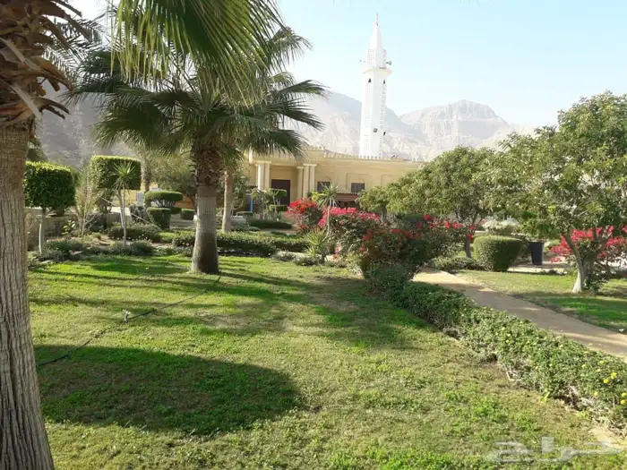 شاليه استراحات في مصر ( ادخال ADKHAL ) 50