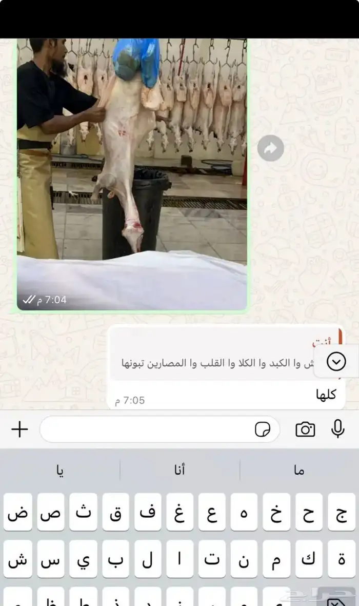 خرفان نعيم تيوس 4