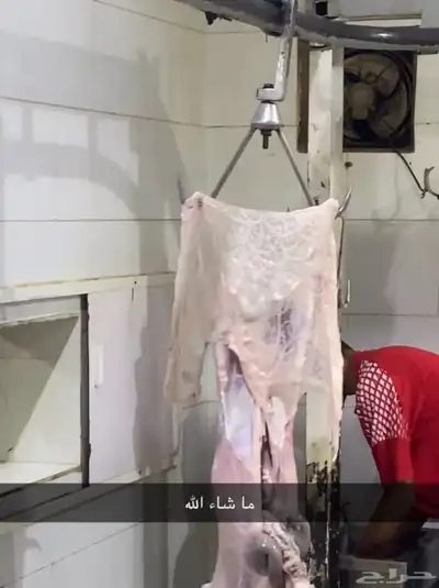 آراء العملاء 6